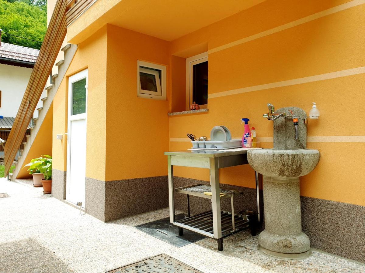 Apartment And Garden House Among The Mountains Podbrdo 外观 照片