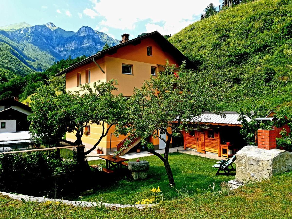 Apartment And Garden House Among The Mountains Podbrdo 外观 照片