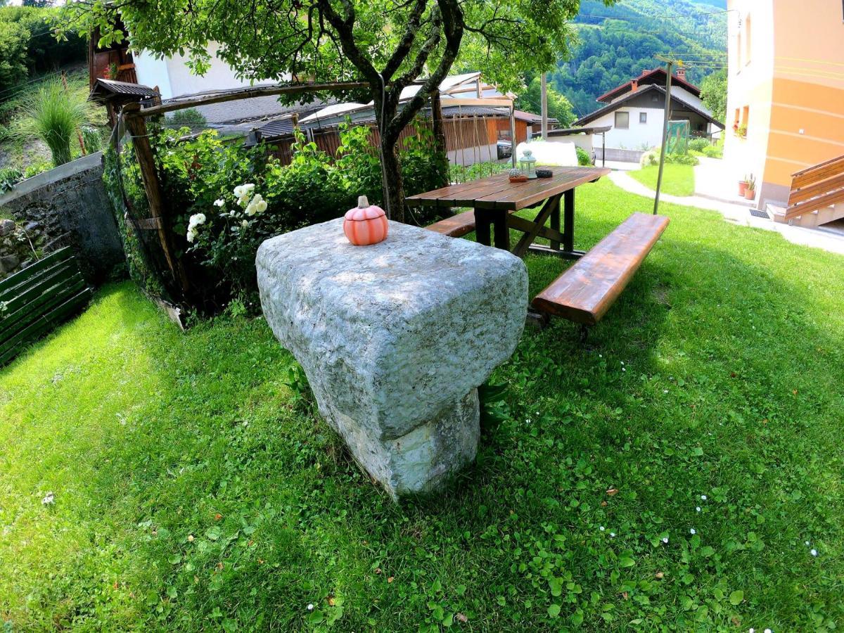 Apartment And Garden House Among The Mountains Podbrdo 外观 照片