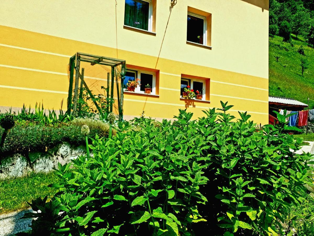 Apartment And Garden House Among The Mountains Podbrdo 外观 照片